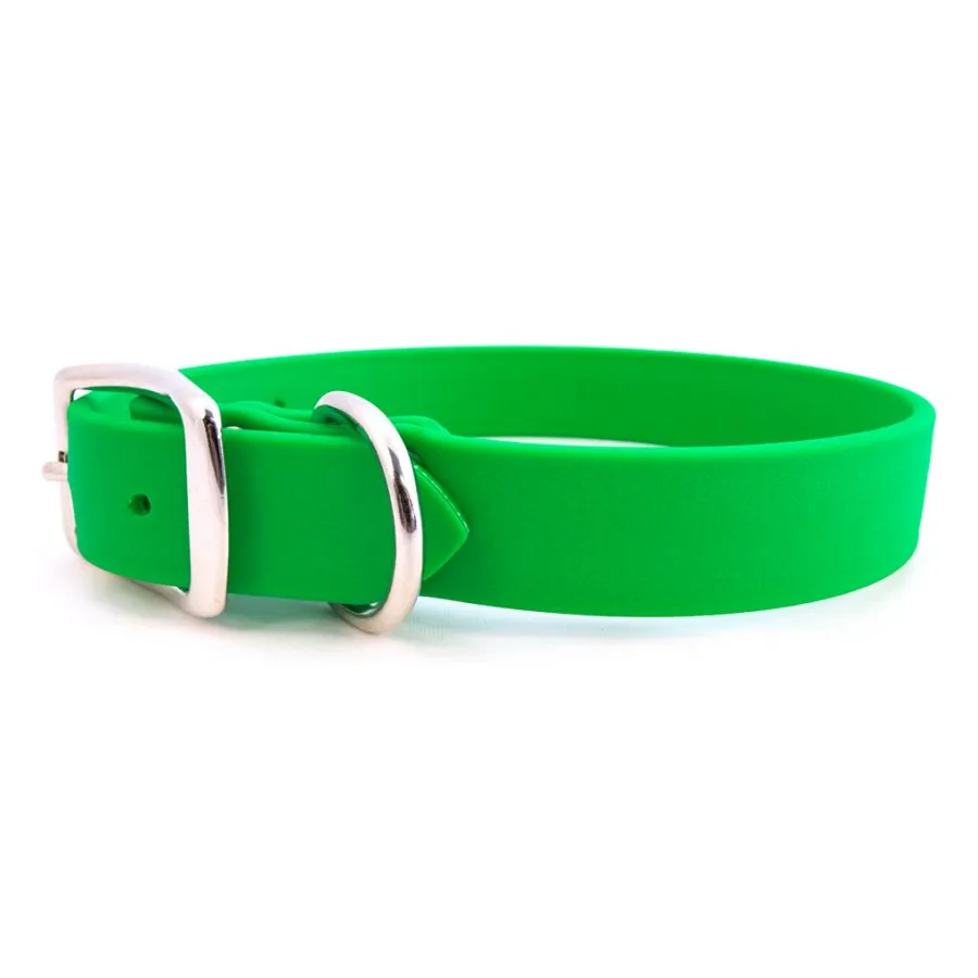 Rita Bean Custom Engraved Waterproof Standard Buckle Dog Collars