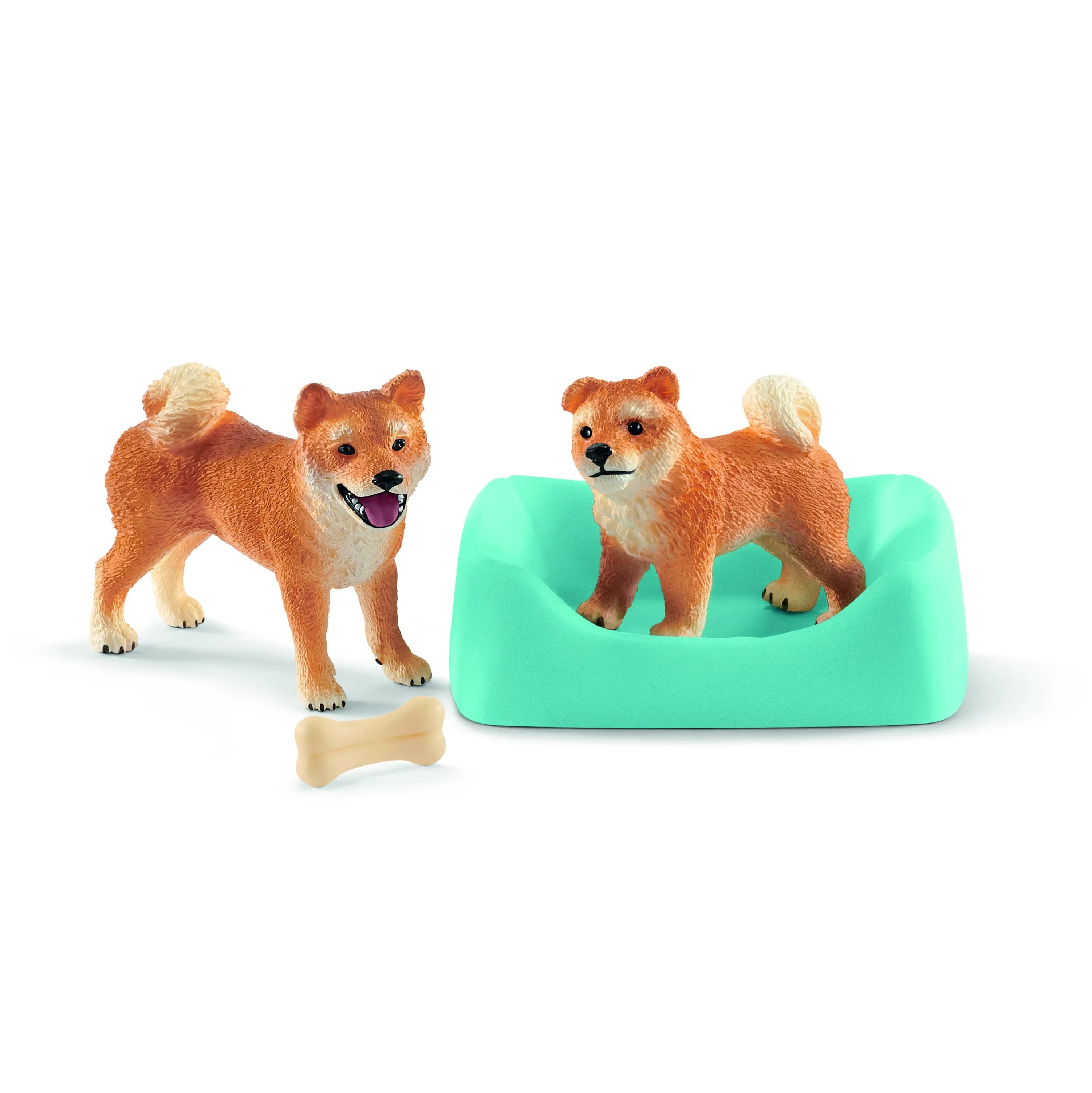 Shiba Inu Mother and Puppy