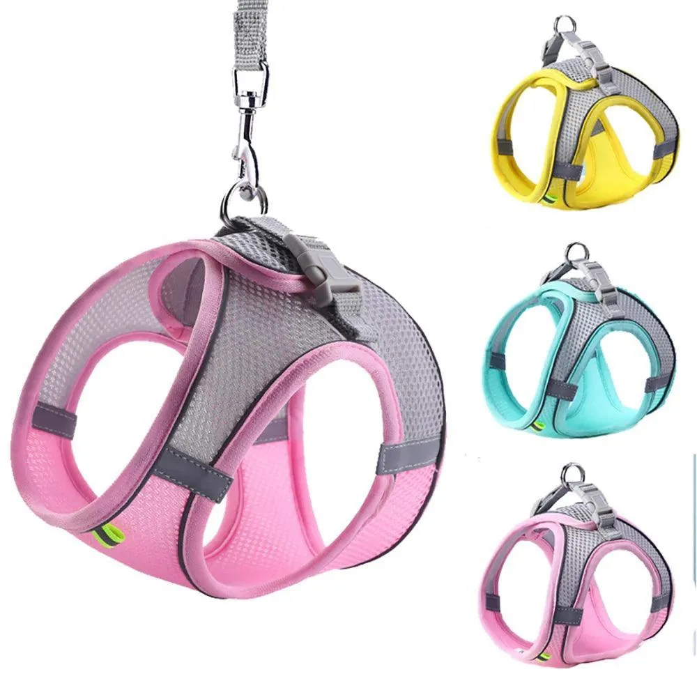 Sofy Breathable Cat Harness and Leash