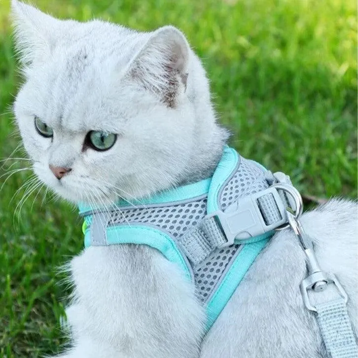 Sofy Breathable Cat Harness and Leash