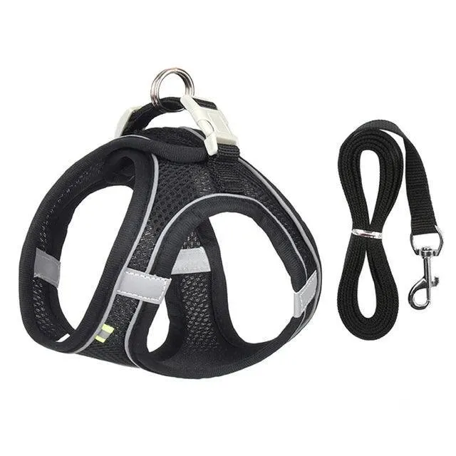 Sofy Breathable Cat Harness and Leash