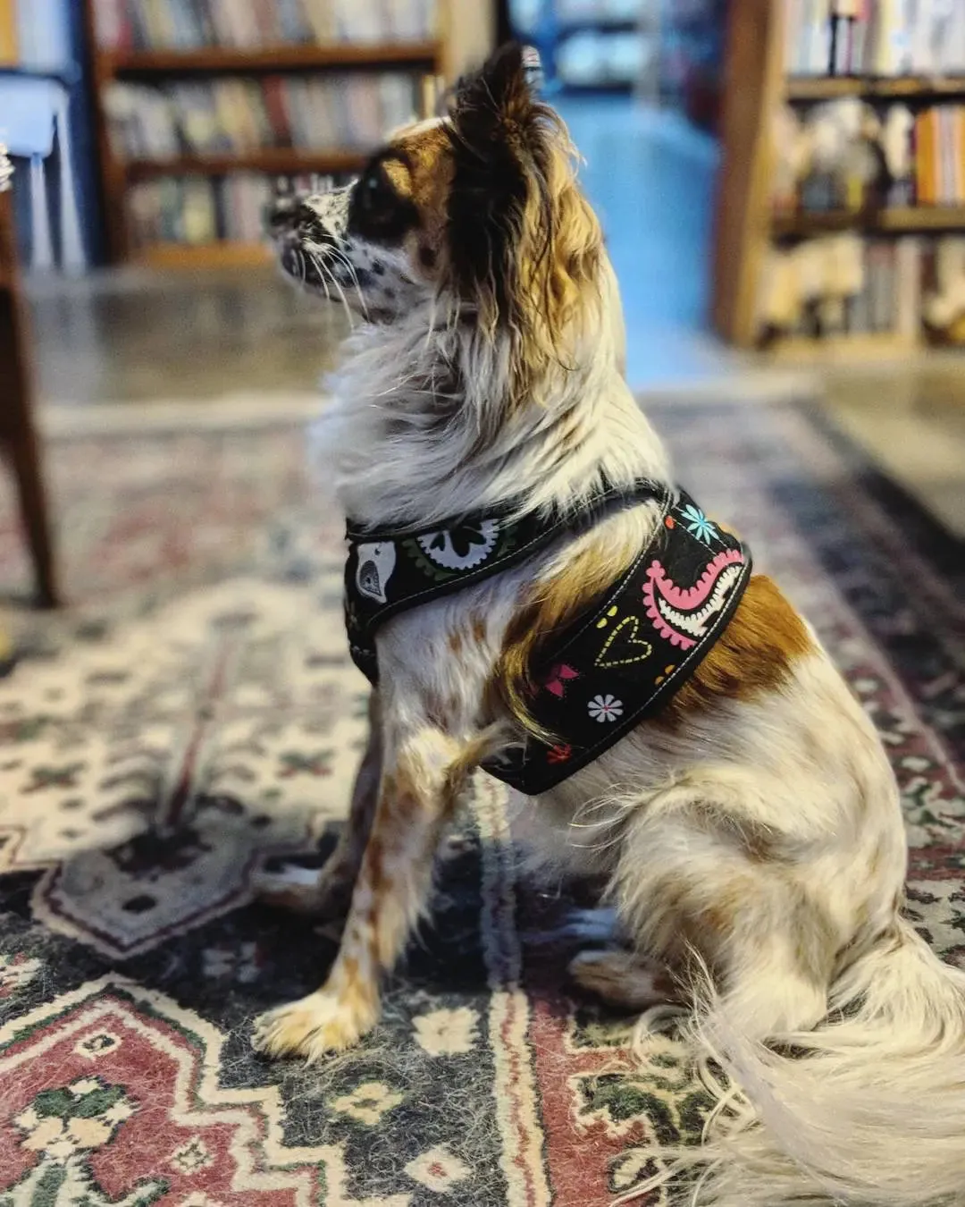 Step Easy Prints Warm Fleece Lined Soft Harness | Teacup 3 LBS to 20 LBS