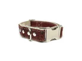 Studded Cork Dog Collar Sangria Red