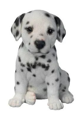 Vivid Arts Pet Pal Dogs Dalmatian Puppy