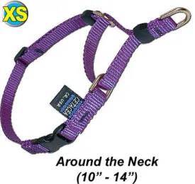 Webbing Cetacea Extra Small Soft Martingale
