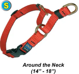 Webbing Cetacea Small Soft Martingale